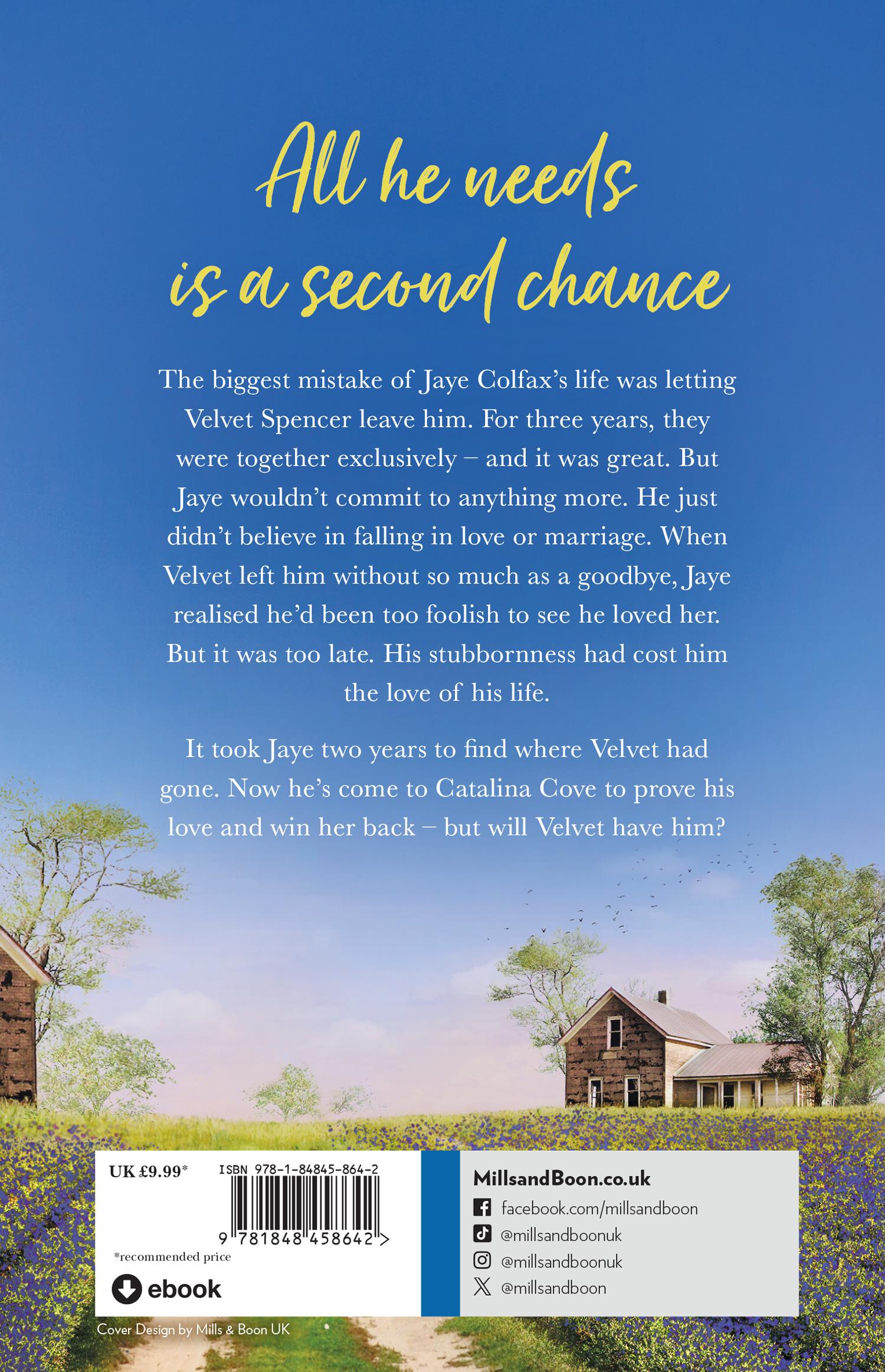 Rückseitencover The House On Blueberry Lane