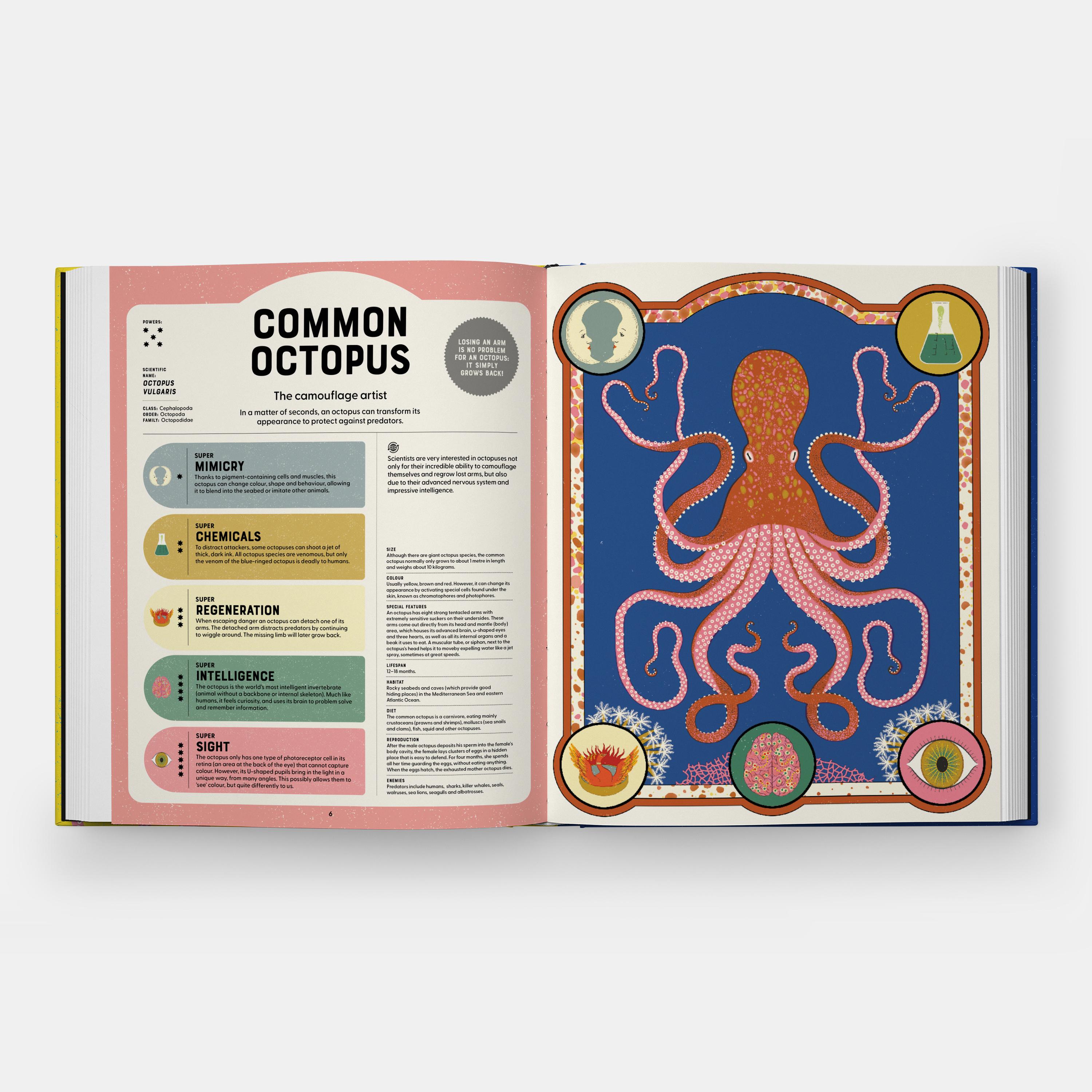 Beispielinhalt (Bild) Superpowered Animals