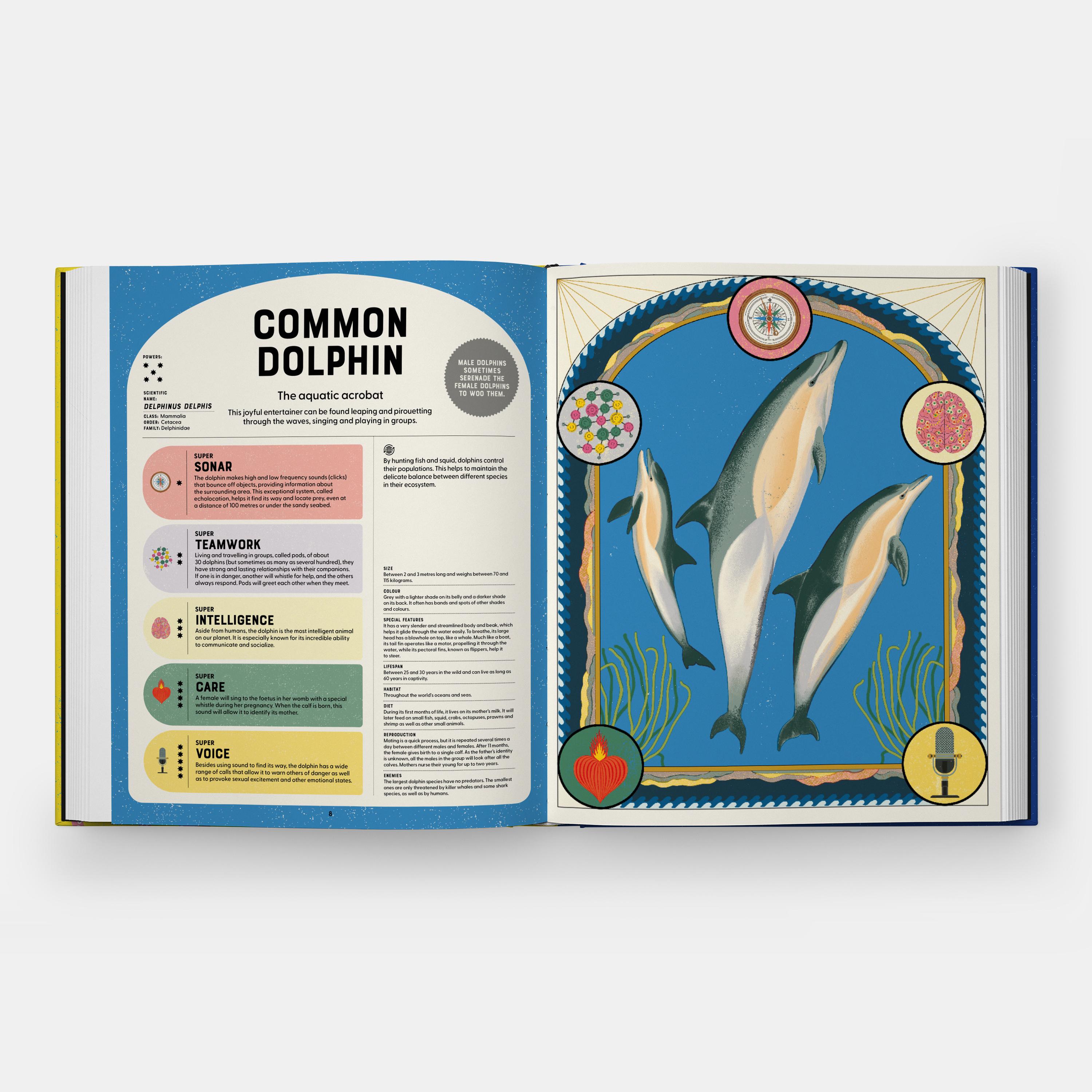 Beispielinhalt (Bild) Superpowered Animals