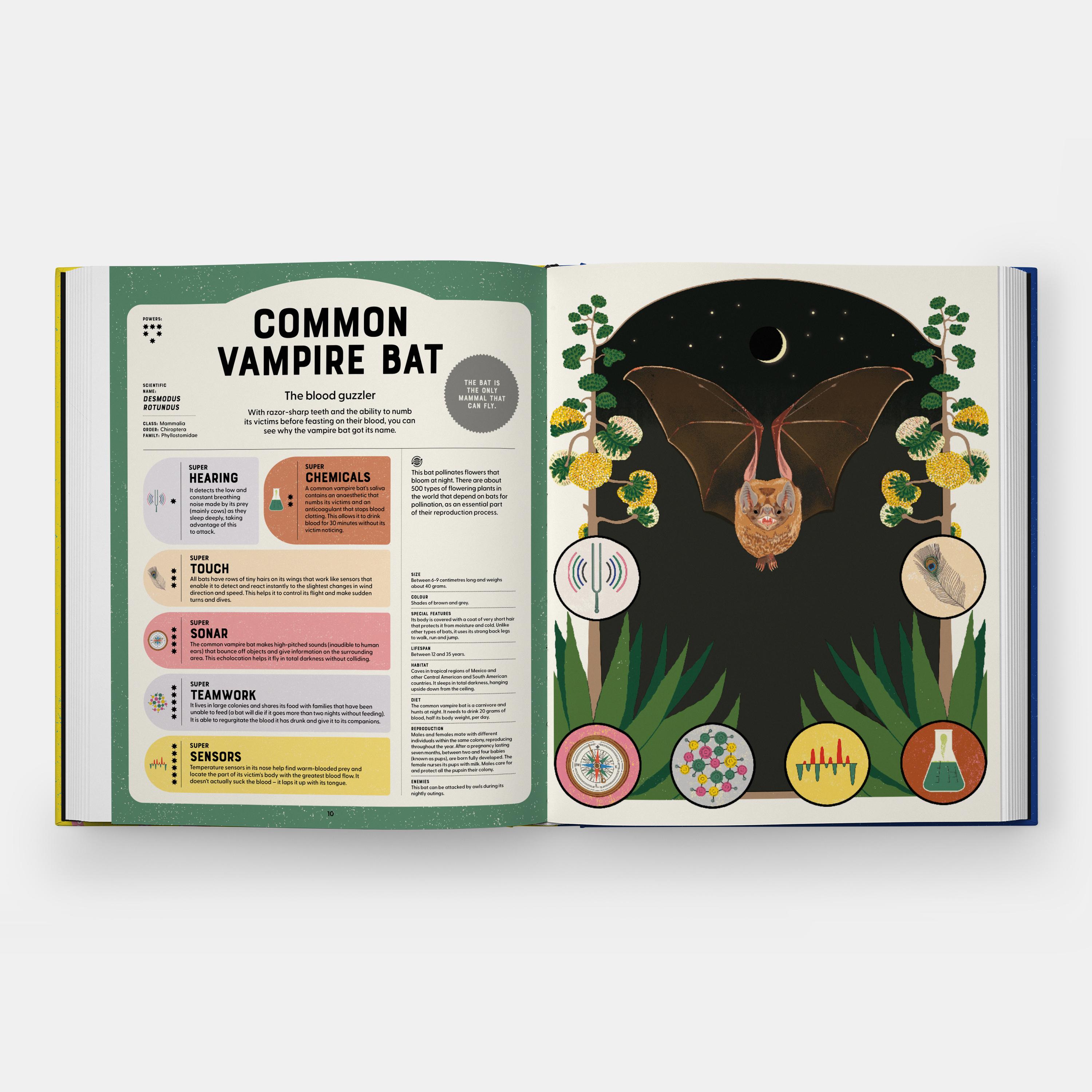 Beispielinhalt (Bild) Superpowered Animals