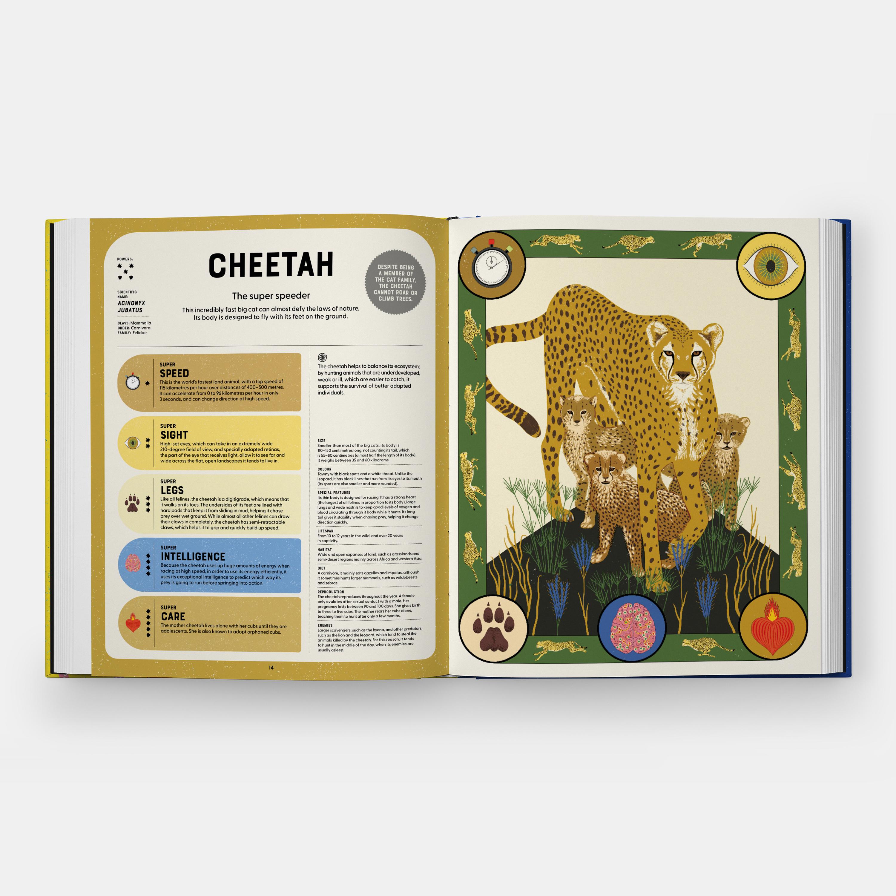 Beispielinhalt (Bild) Superpowered Animals