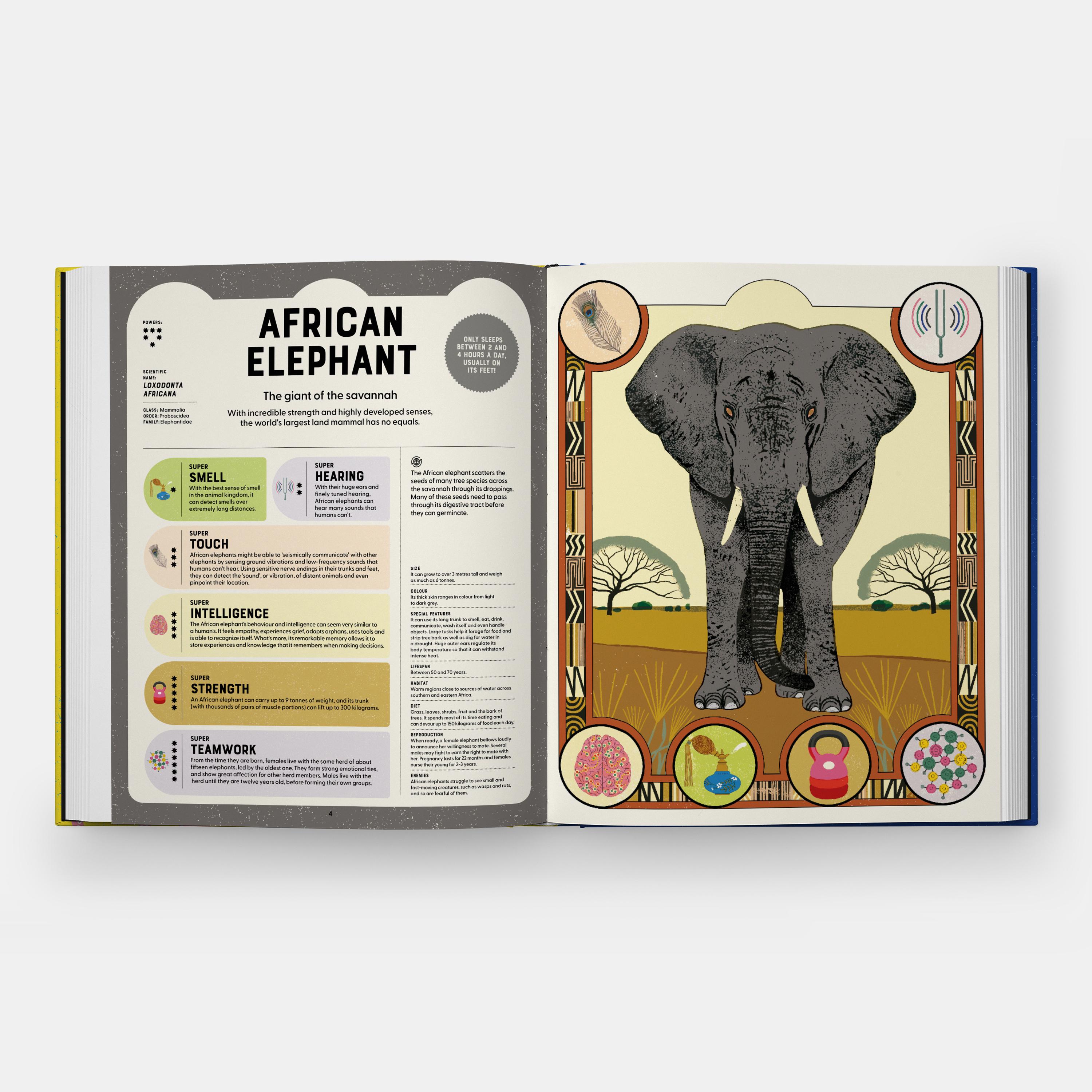 Beispielinhalt (Bild) Superpowered Animals