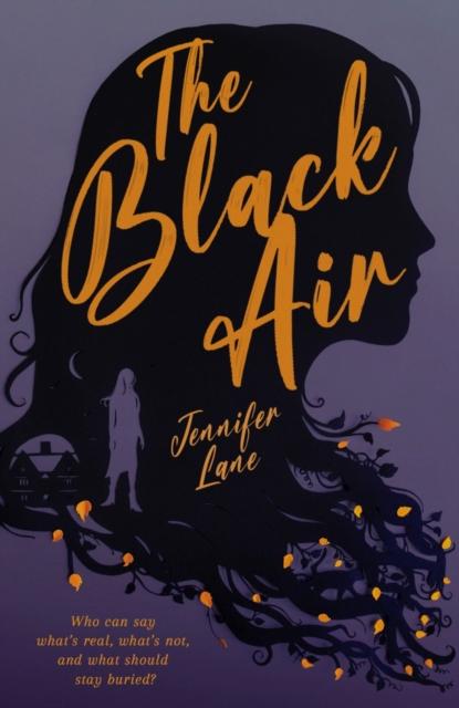 Vorderes Coverbild The Black Air