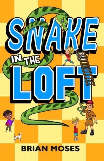 Vorderes Coverbild Snake In The Loft