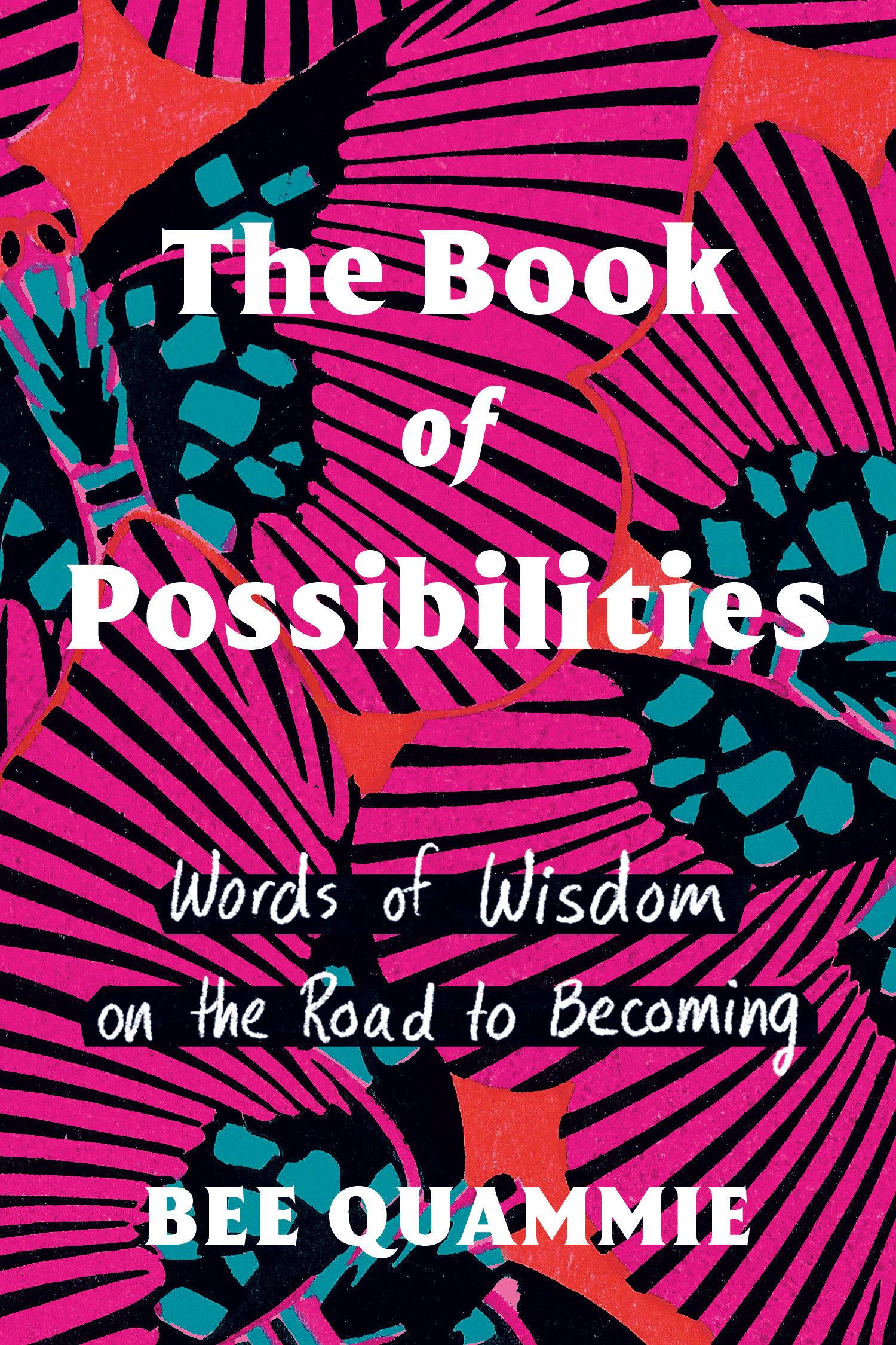 Vorderes Coverbild The Book of Possibilities