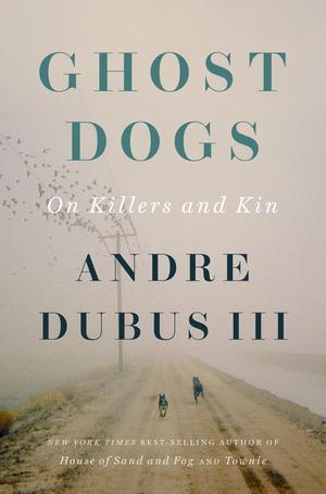 Vorderes Coverbild Ghost Dogs