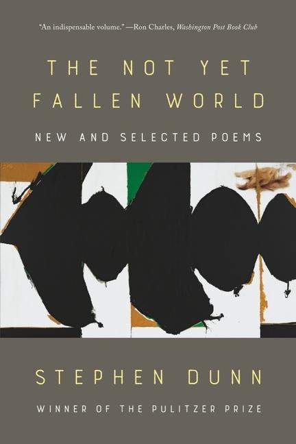 Vorderes Coverbild The Not Yet Fallen World