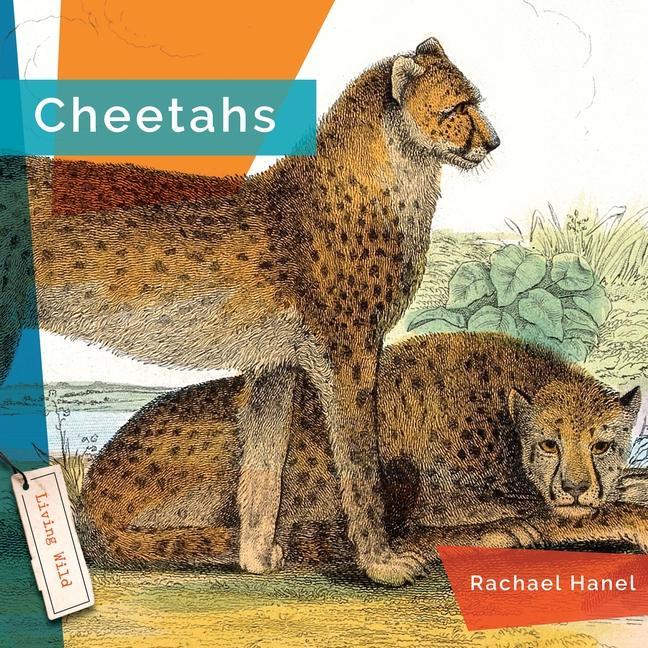 Vorderes Coverbild Cheetahs