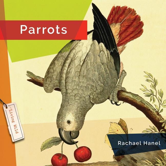 Vorderes Coverbild Parrots