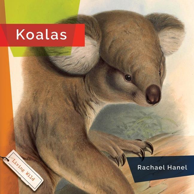 Vorderes Coverbild Koalas