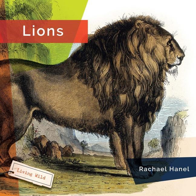 Vorderes Coverbild Lions