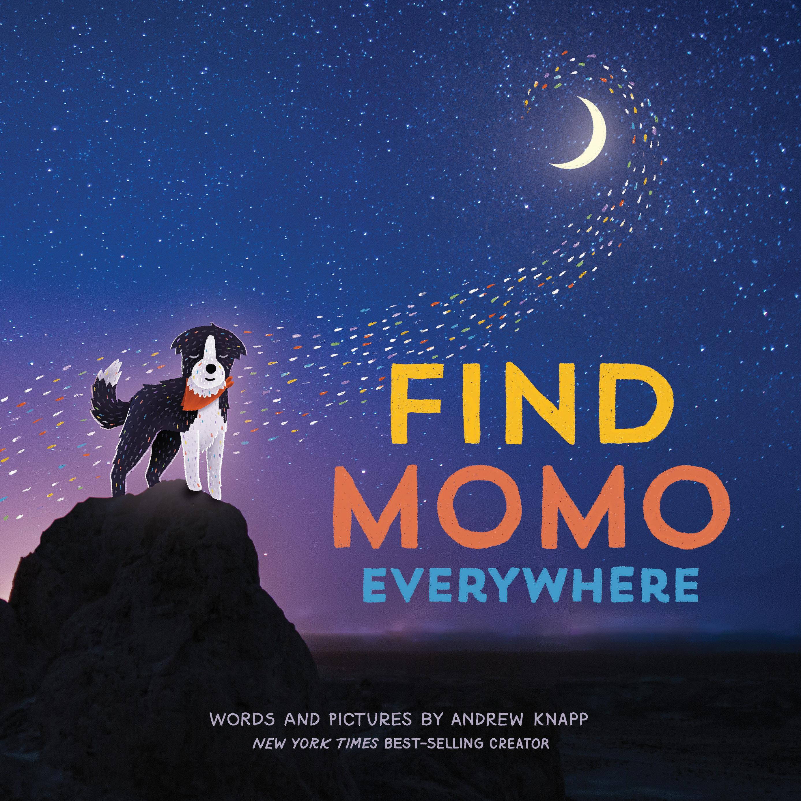 Vorderes Coverbild Find Momo Everywhere