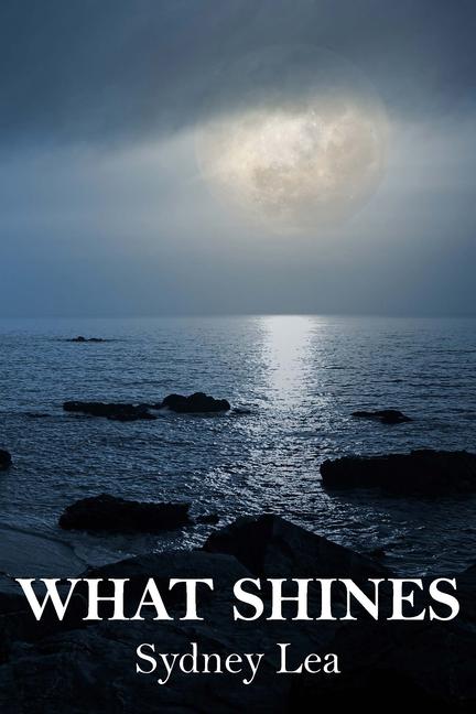 Vorderes Coverbild What Shines