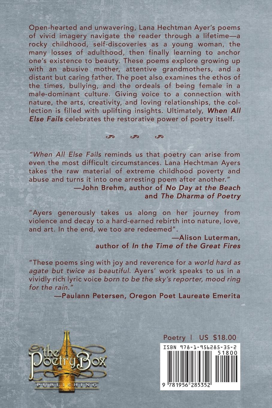 Rückseitencover When All Else Fails