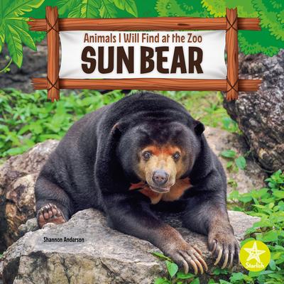 Vorderes Coverbild Sun Bear