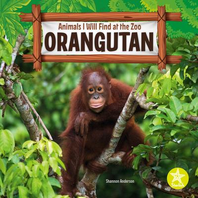 Vorderes Coverbild Orangutan