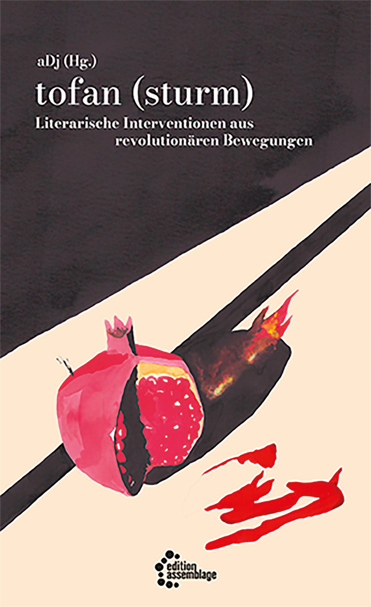 Vorderes Coverbild tofan (sturm)