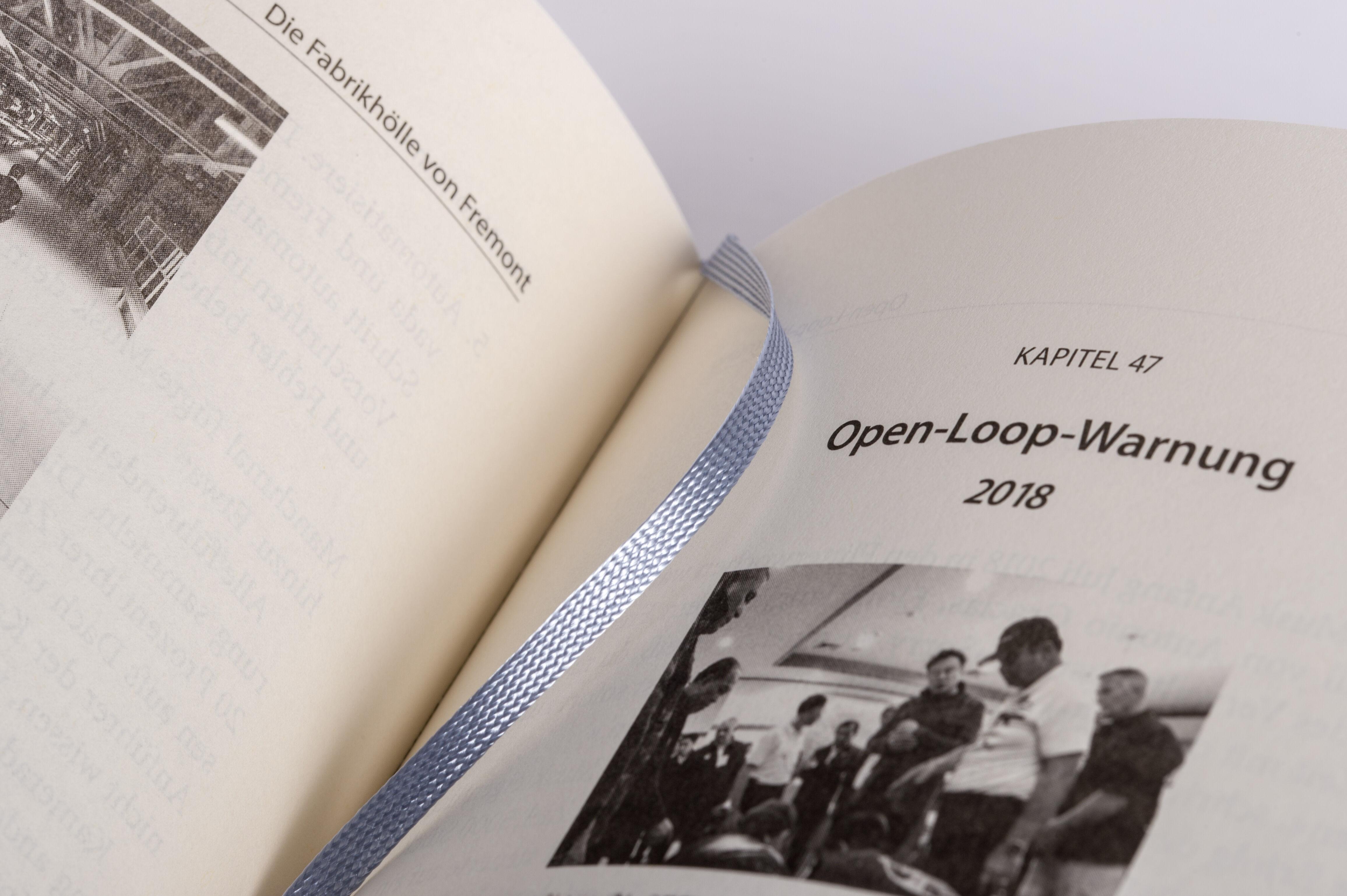 Beispielinhalt (Bild) Elon Musk