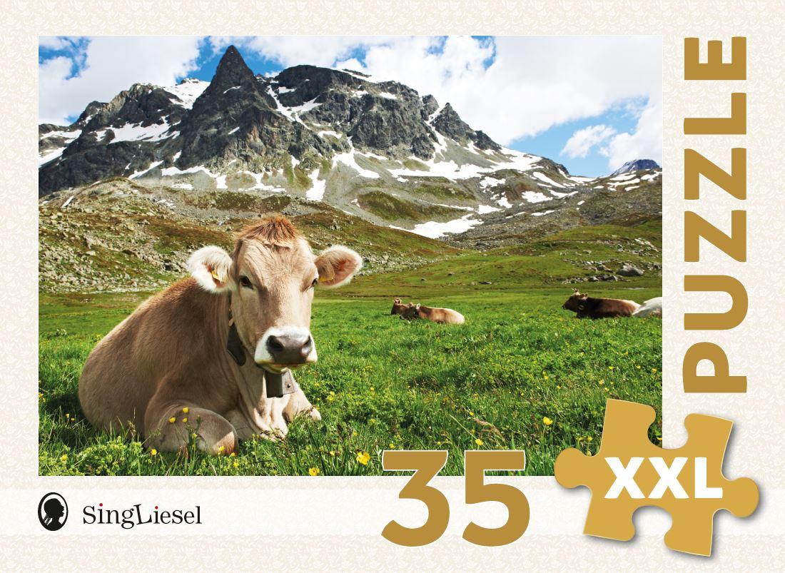 Vorderes Coverbild Demenz-Puzzle: Alpen. Das Demenz-Puzzle-Spiel mit 35 Puzzle-Teilen im XXL-Format.
