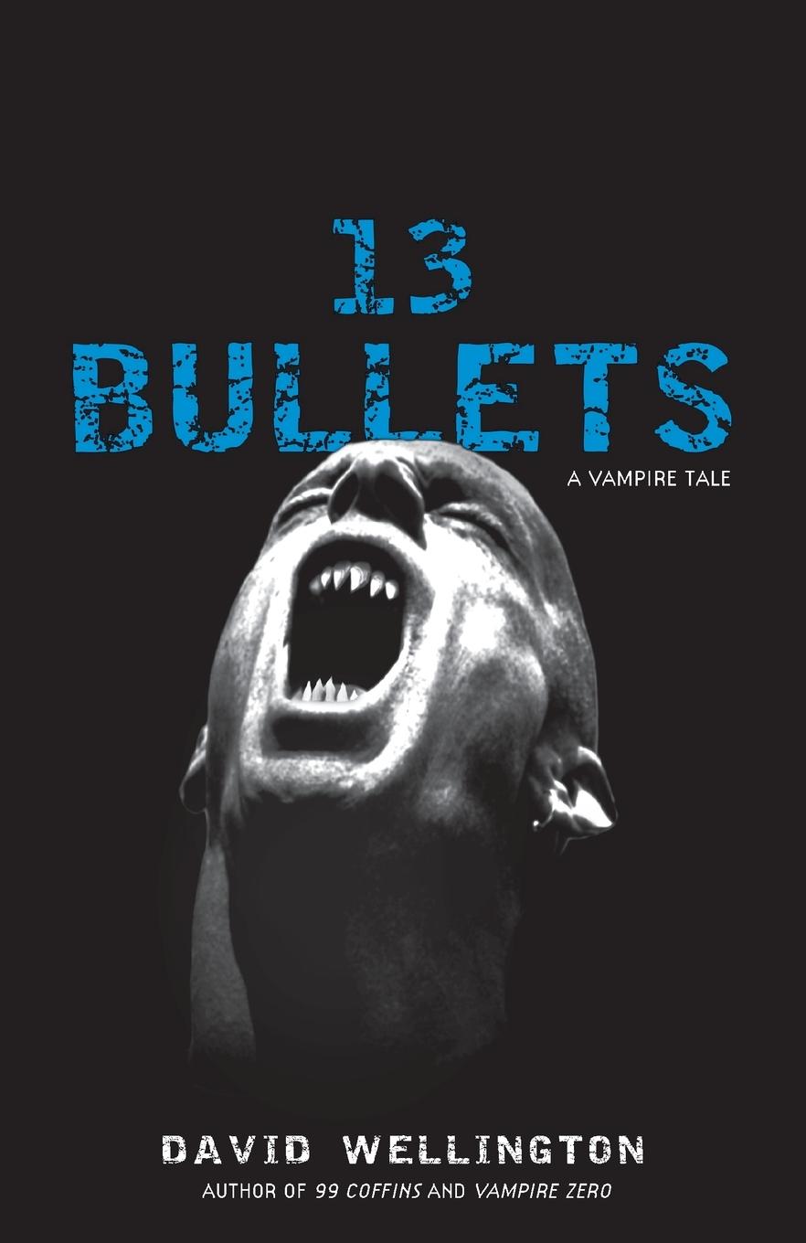 Vorderes Coverbild 13 Bullets