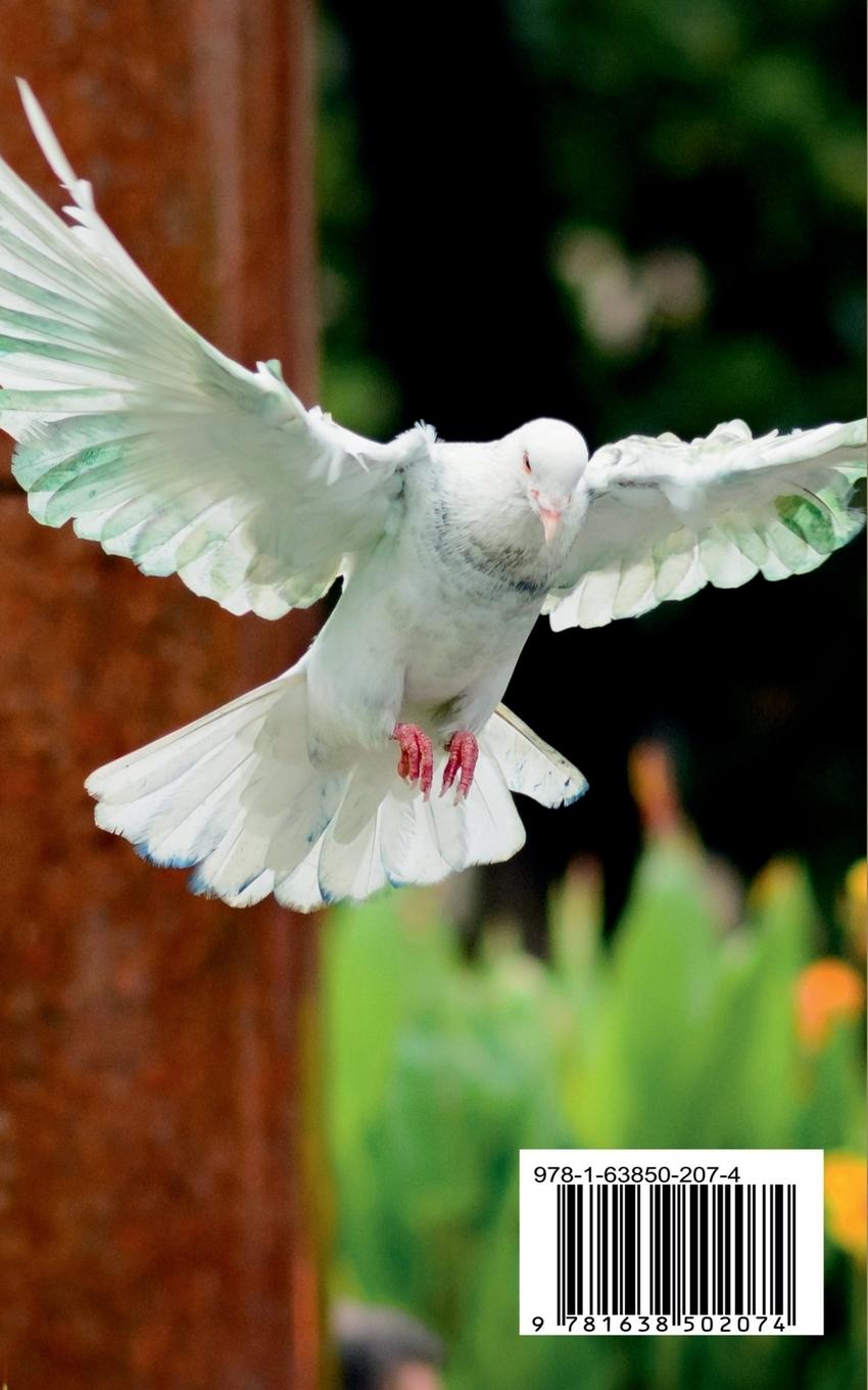 Rückseitencover The Gospel Herald (1898-1910)