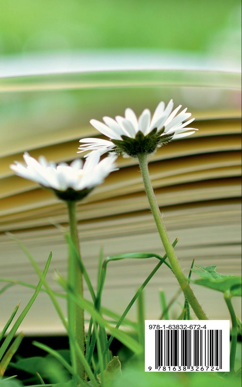 Rückseitencover The Educational Messenger (1908-1909)