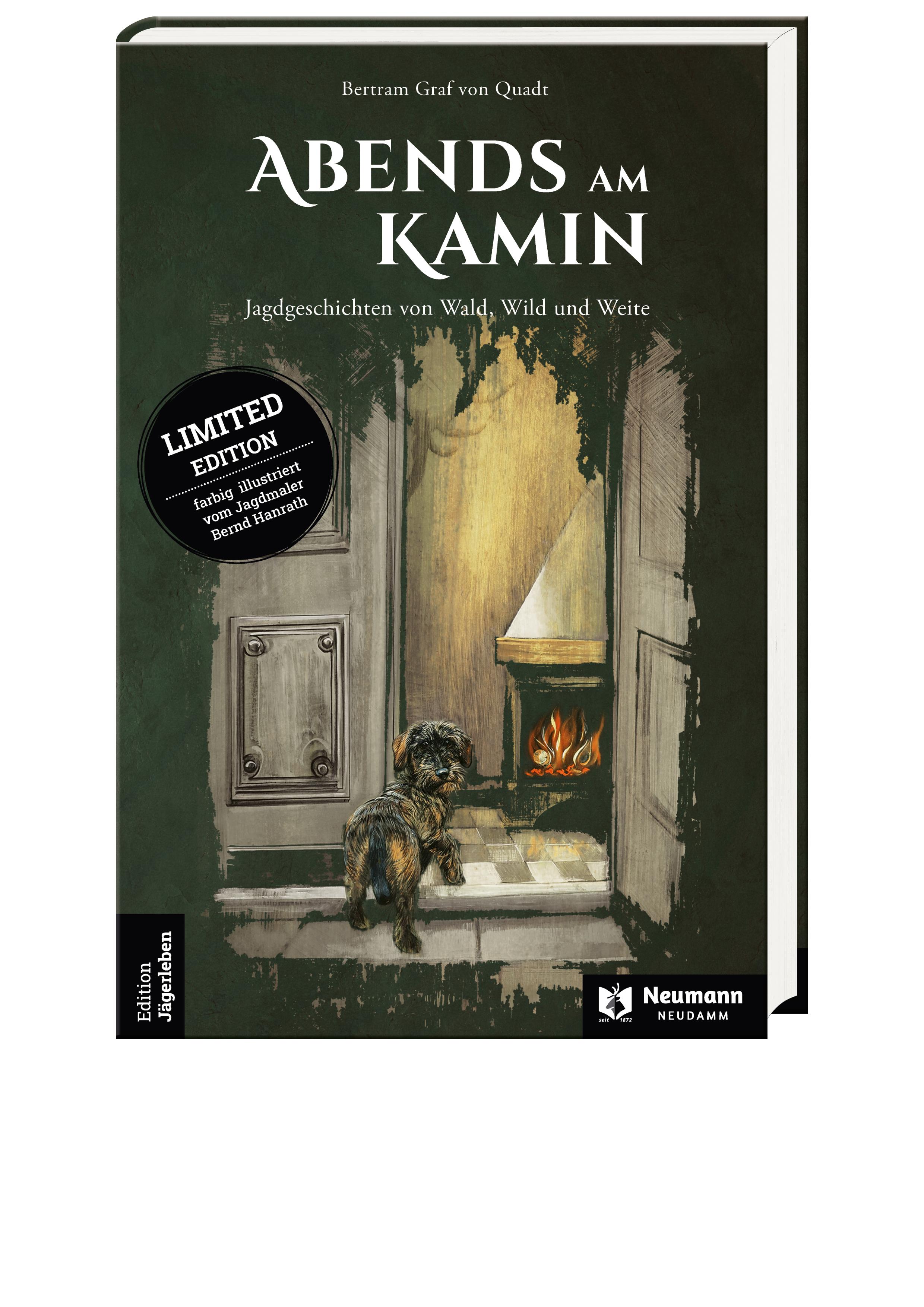 Vorderes Coverbild Abends am Kamin