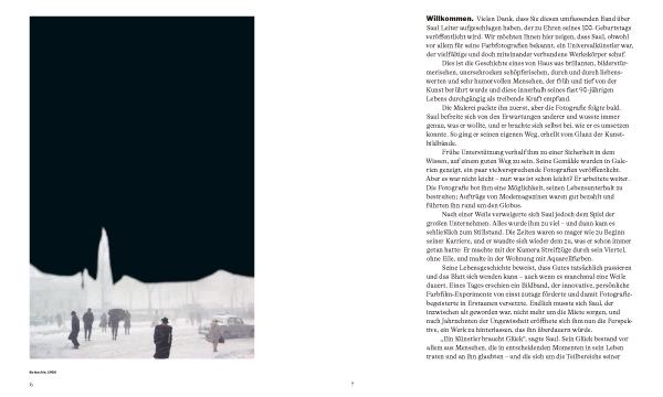 Beispielinhalt (Bild) Saul Leiter