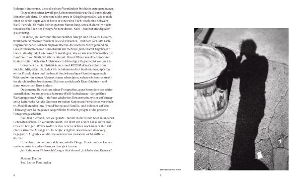 Beispielinhalt (Bild) Saul Leiter