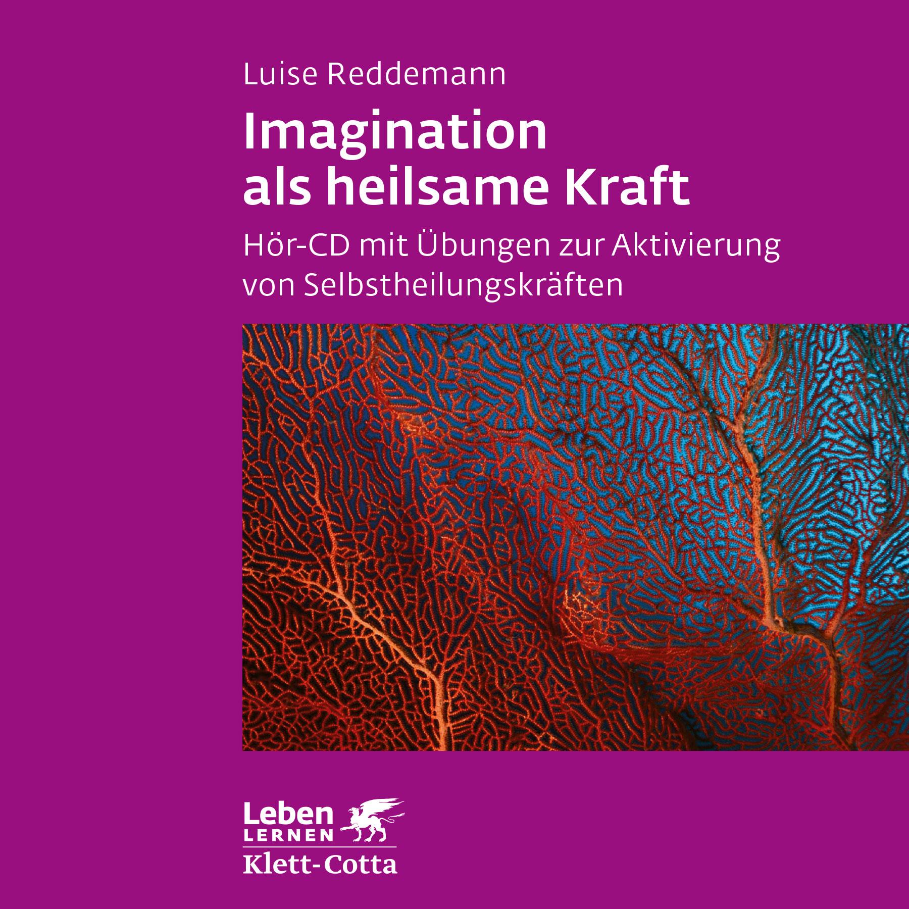 Vorderes Coverbild Imagination als heilsame Kraft. Zur Behandlung von Traumafolgen mit ressourcenorientierten Verfahren