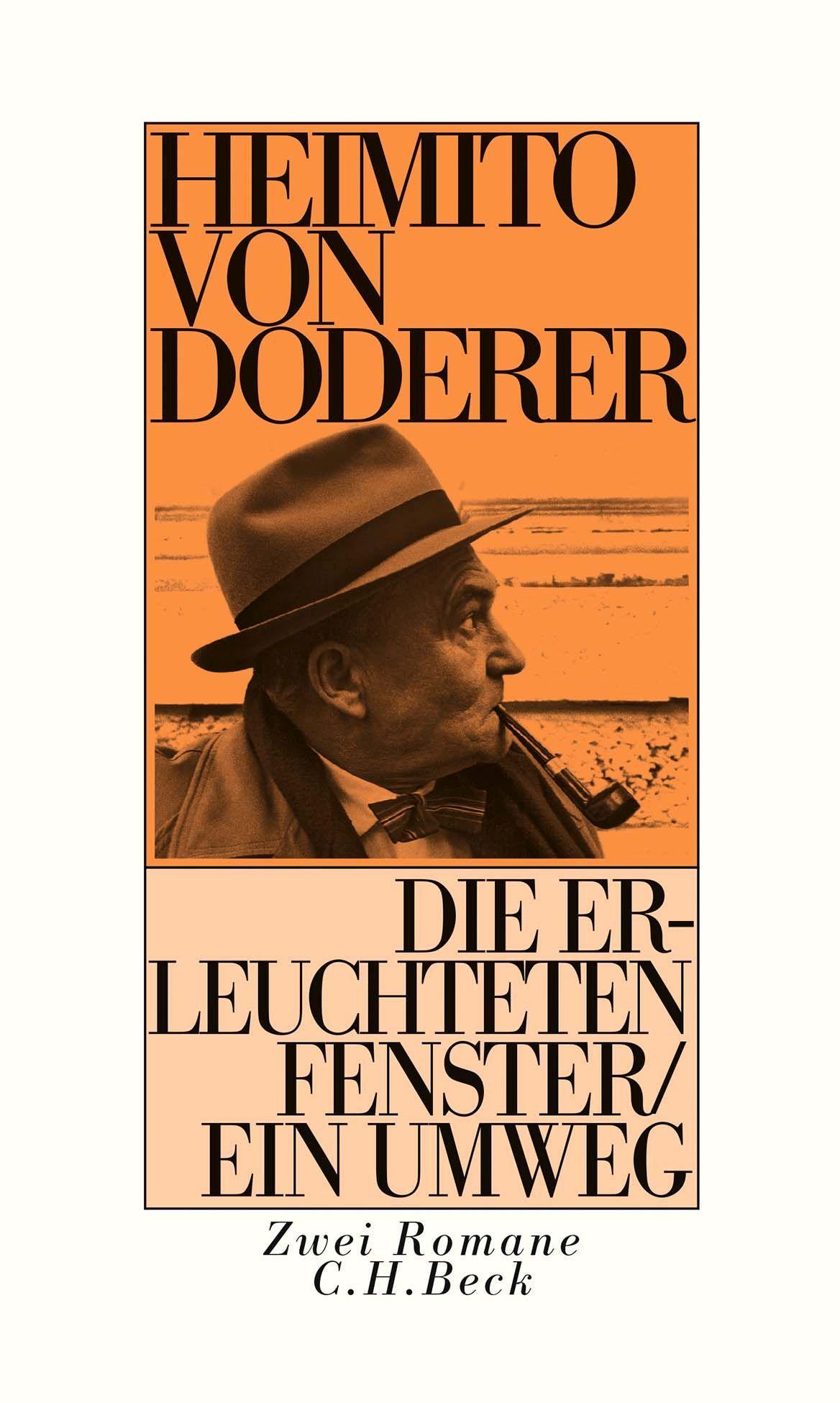 Vorderes Coverbild Die erleuchteten Fenster oder die Menschwerdung des Amtsrates Julius Zihal. Ein Umweg