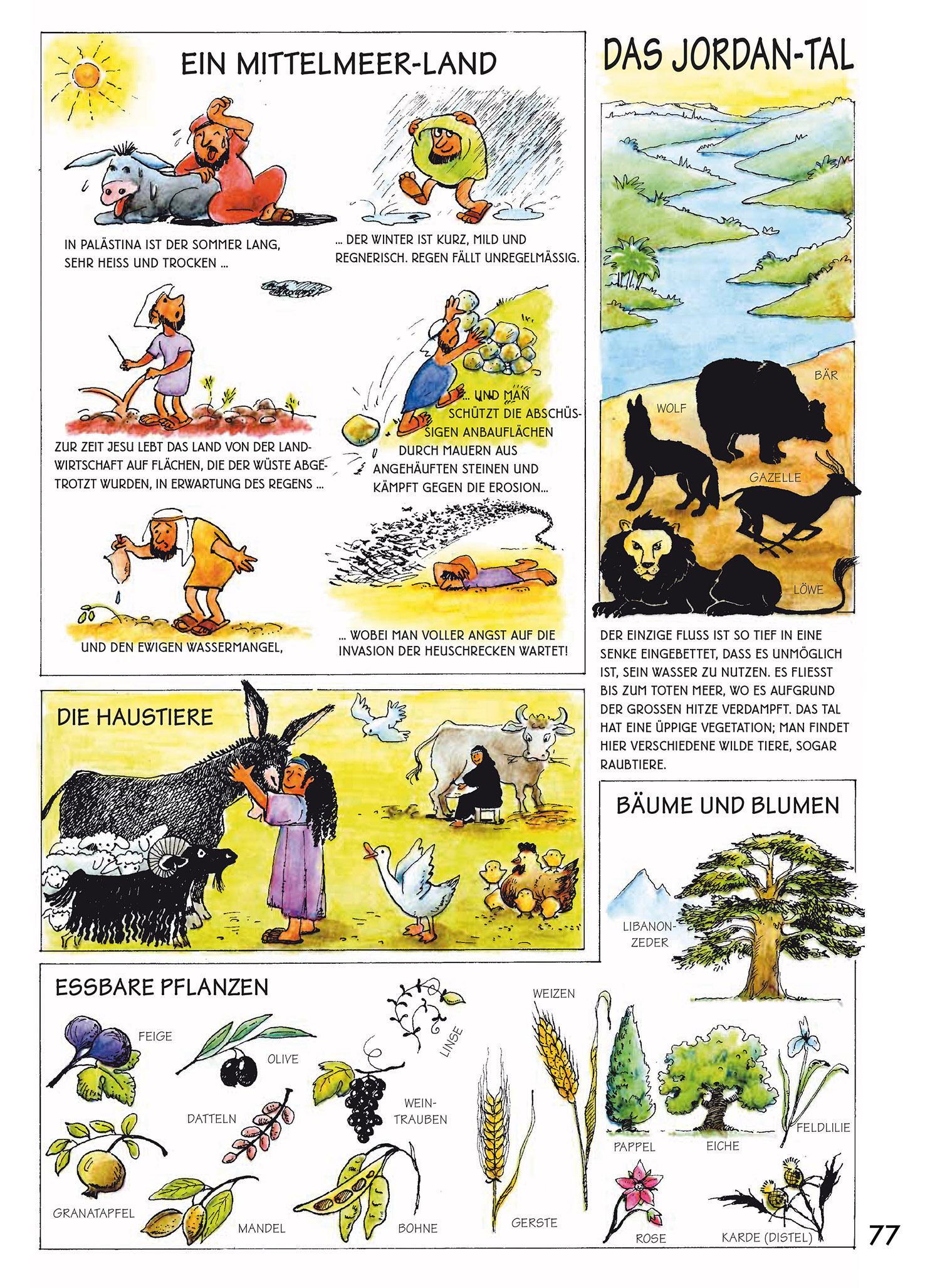 Beispielinhalt (Bild) Entdecke die Welt der Bibel