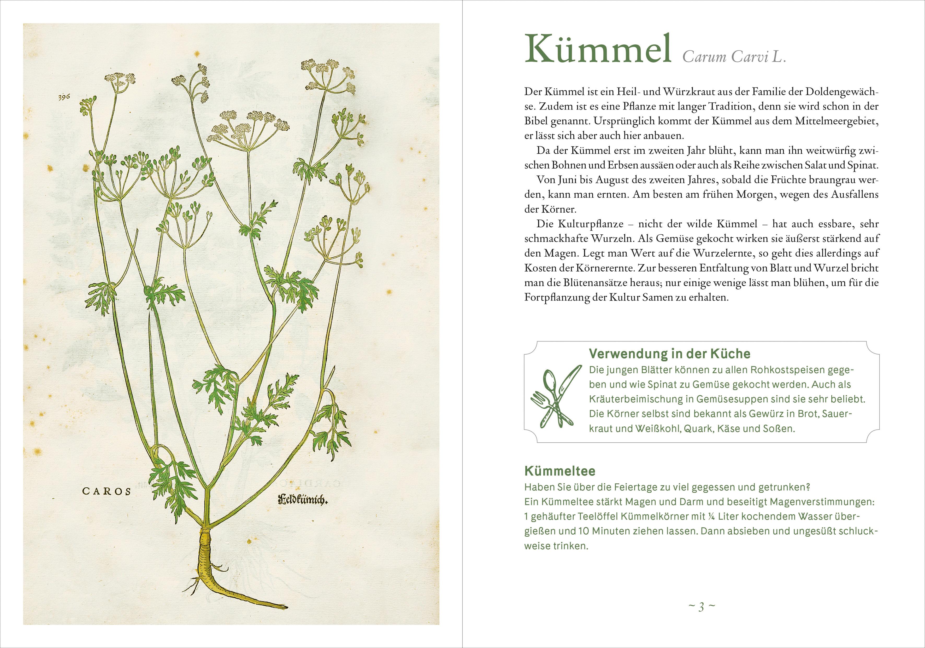 Beispielinhalt (Bild) Mit 52 Klosterkräutern durch das Jahr