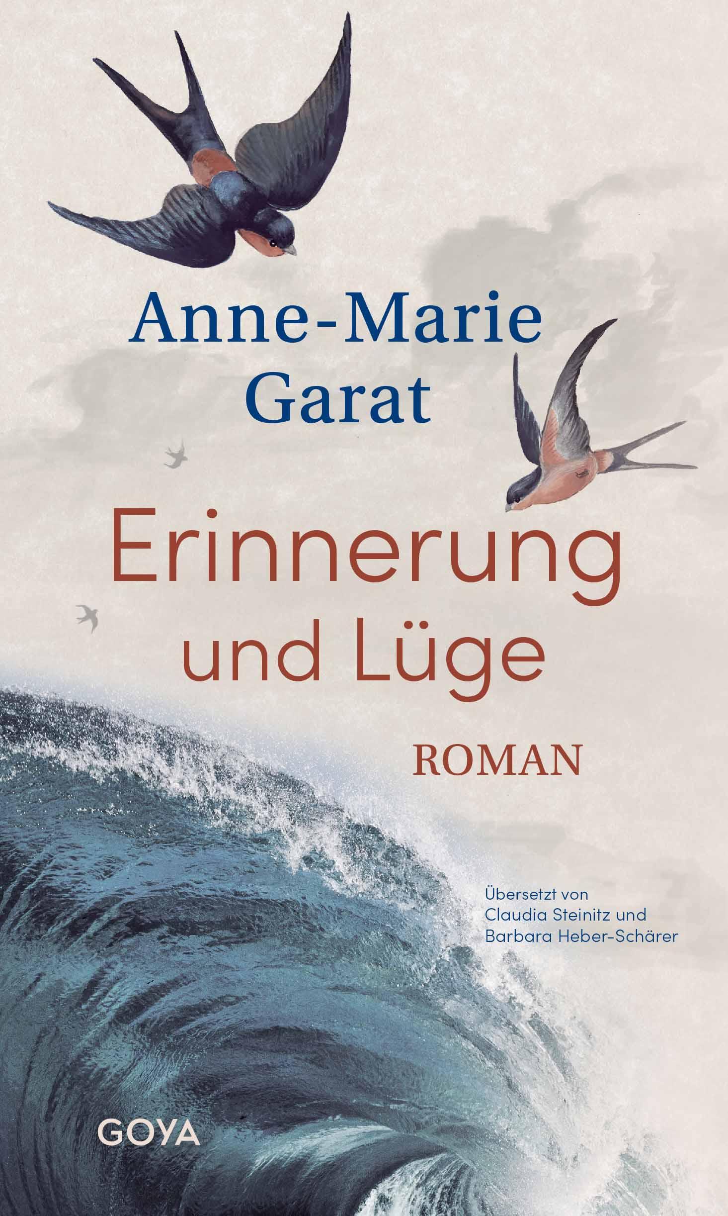 Vorderes Coverbild Erinnerung und Lüge