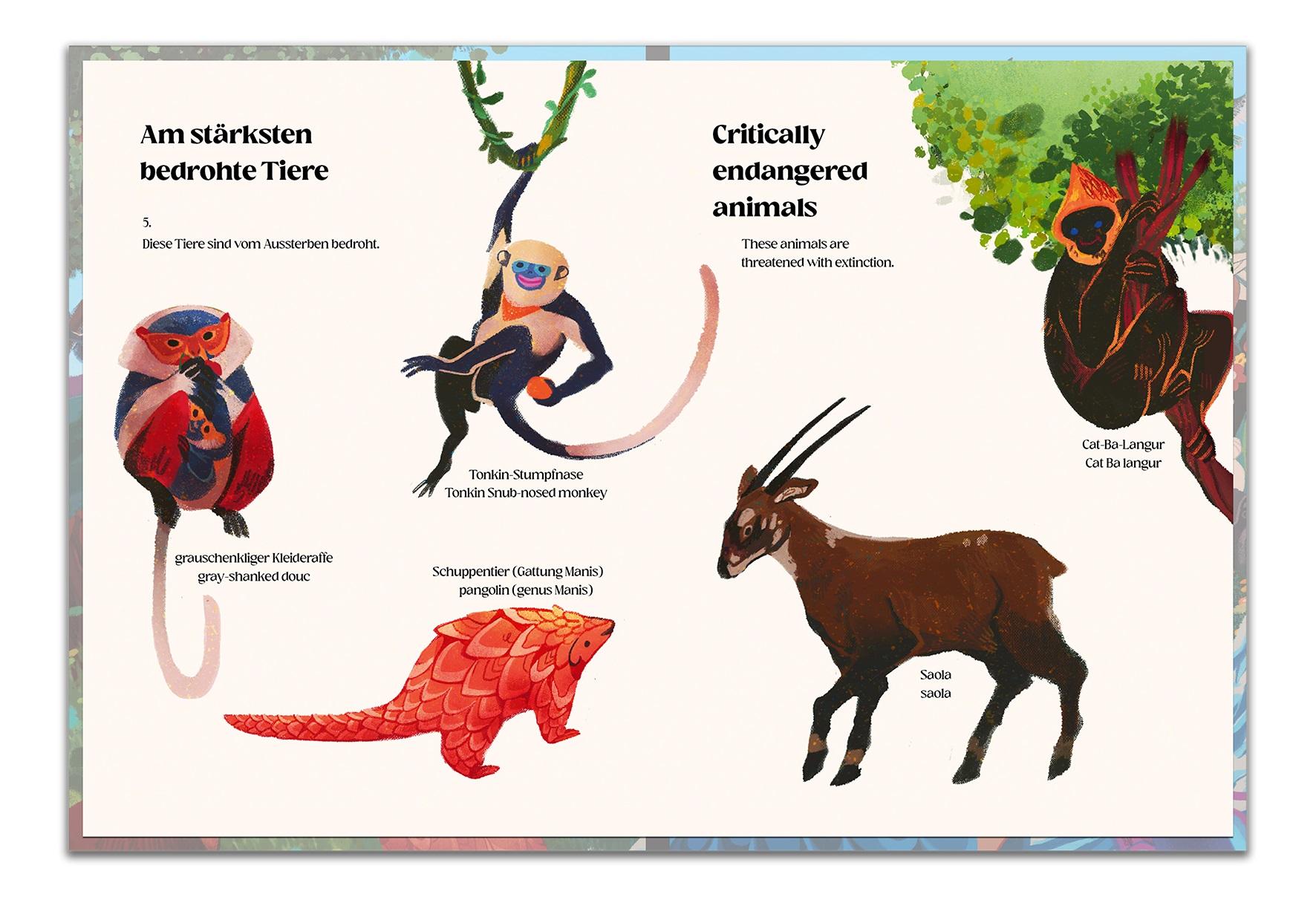 Beispielinhalt (Bild) Das Land der Drachen und Feen - The Land of Dragons and Fairies