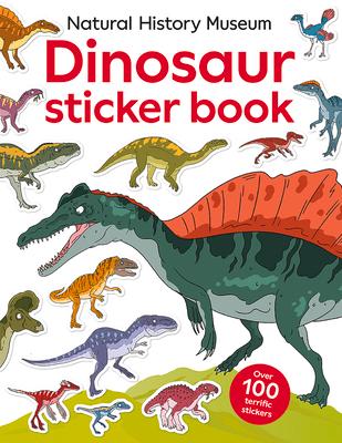 Vorderes Coverbild Dinosaur Sticker Book