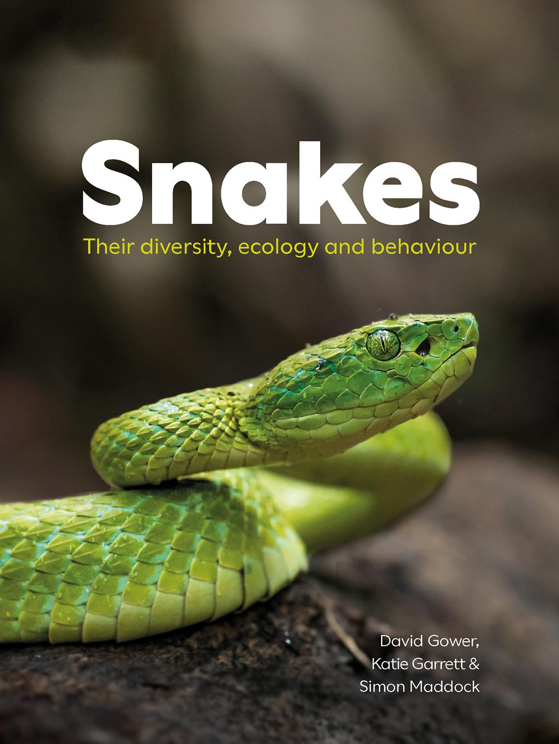Vorderes Coverbild Snakes