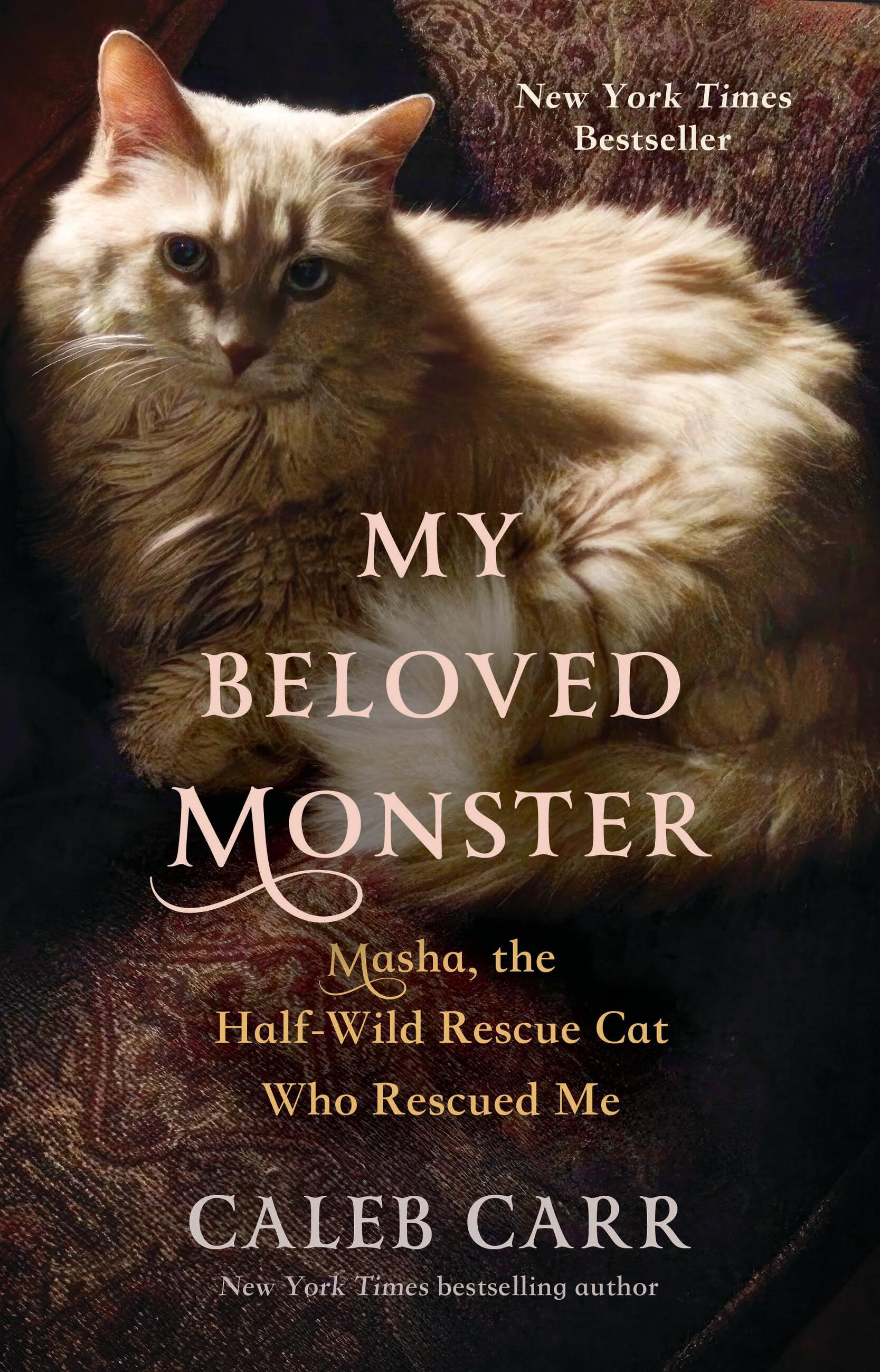 Vorderes Coverbild My Beloved Monster