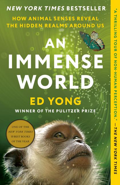 Vorderes Coverbild An Immense World