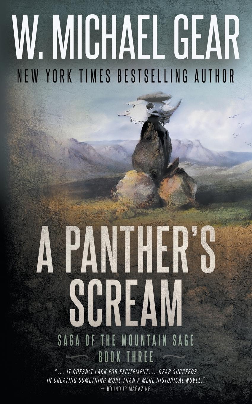 Vorderes Coverbild A Panther's Scream