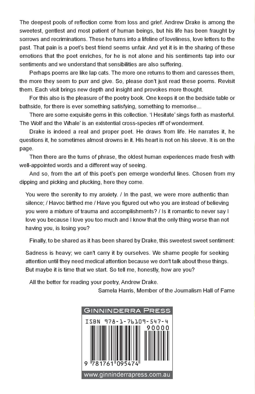 Rückseitencover Beauty in Obscurity