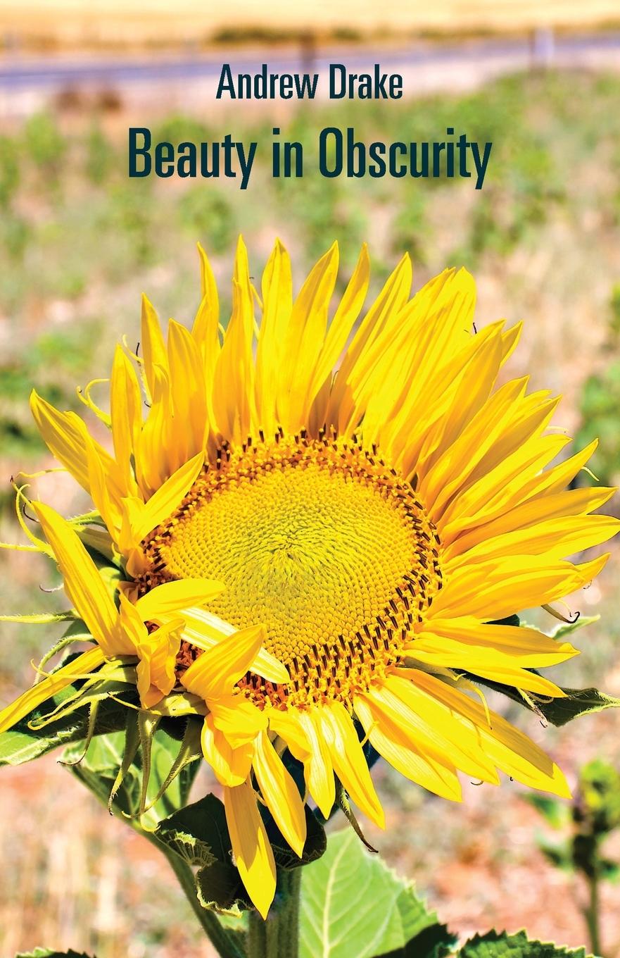 Vorderes Coverbild Beauty in Obscurity