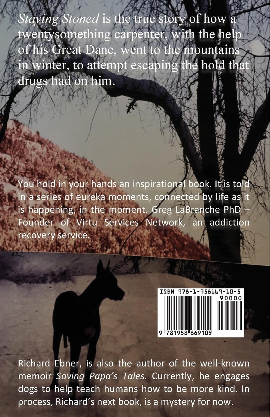 Rückseitencover Staying Stoned