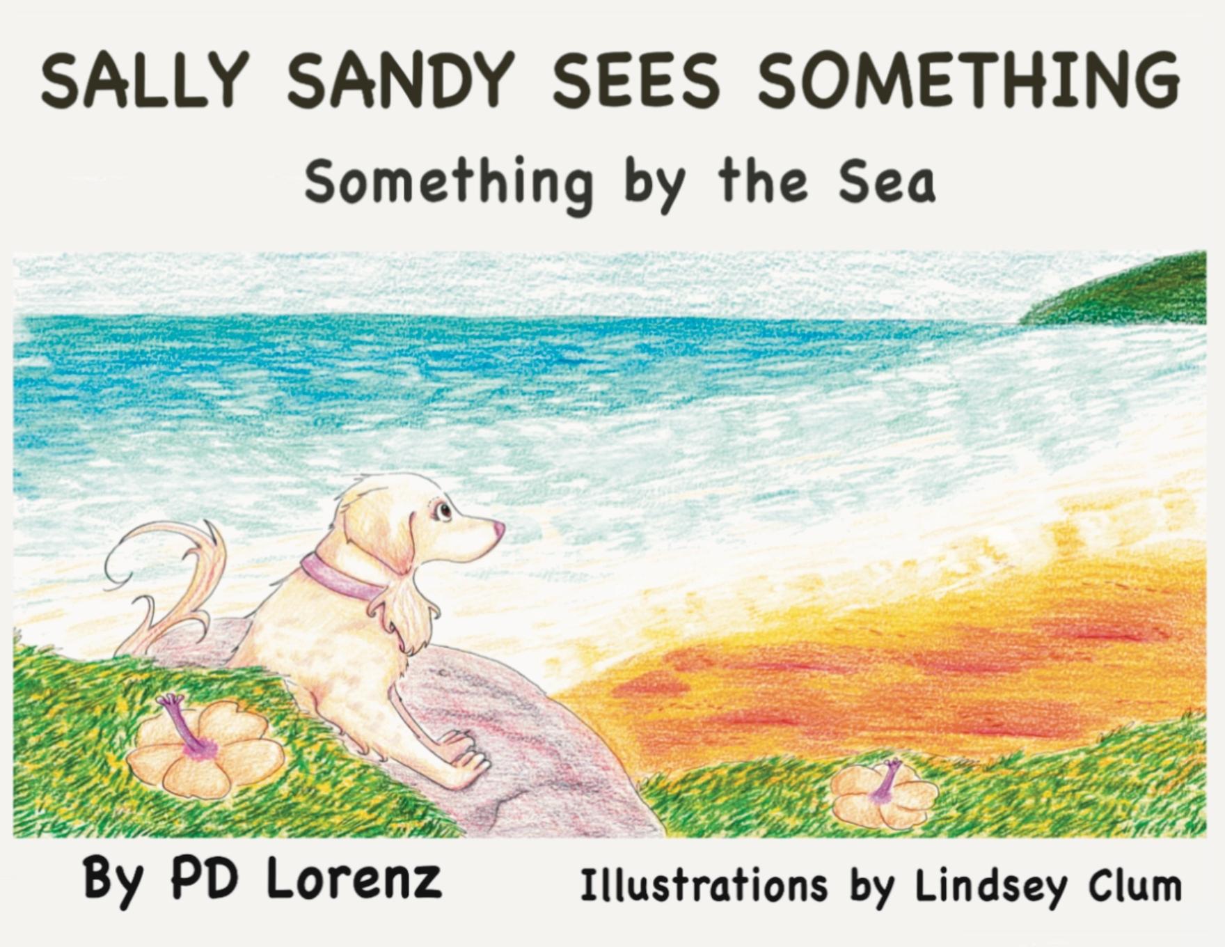Vorderes Coverbild Sally Sandy Sees Something