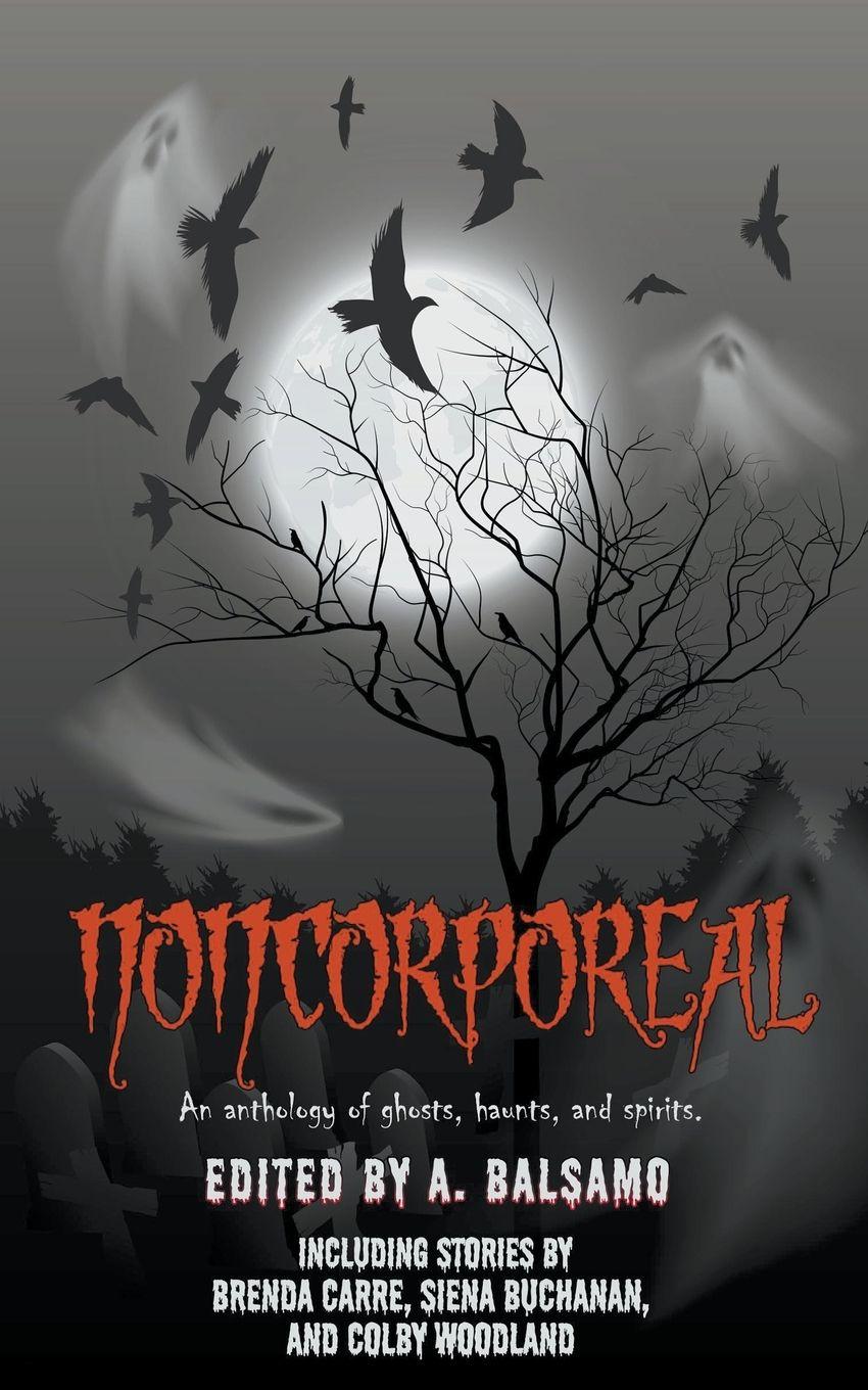 Vorderes Coverbild Noncorporeal