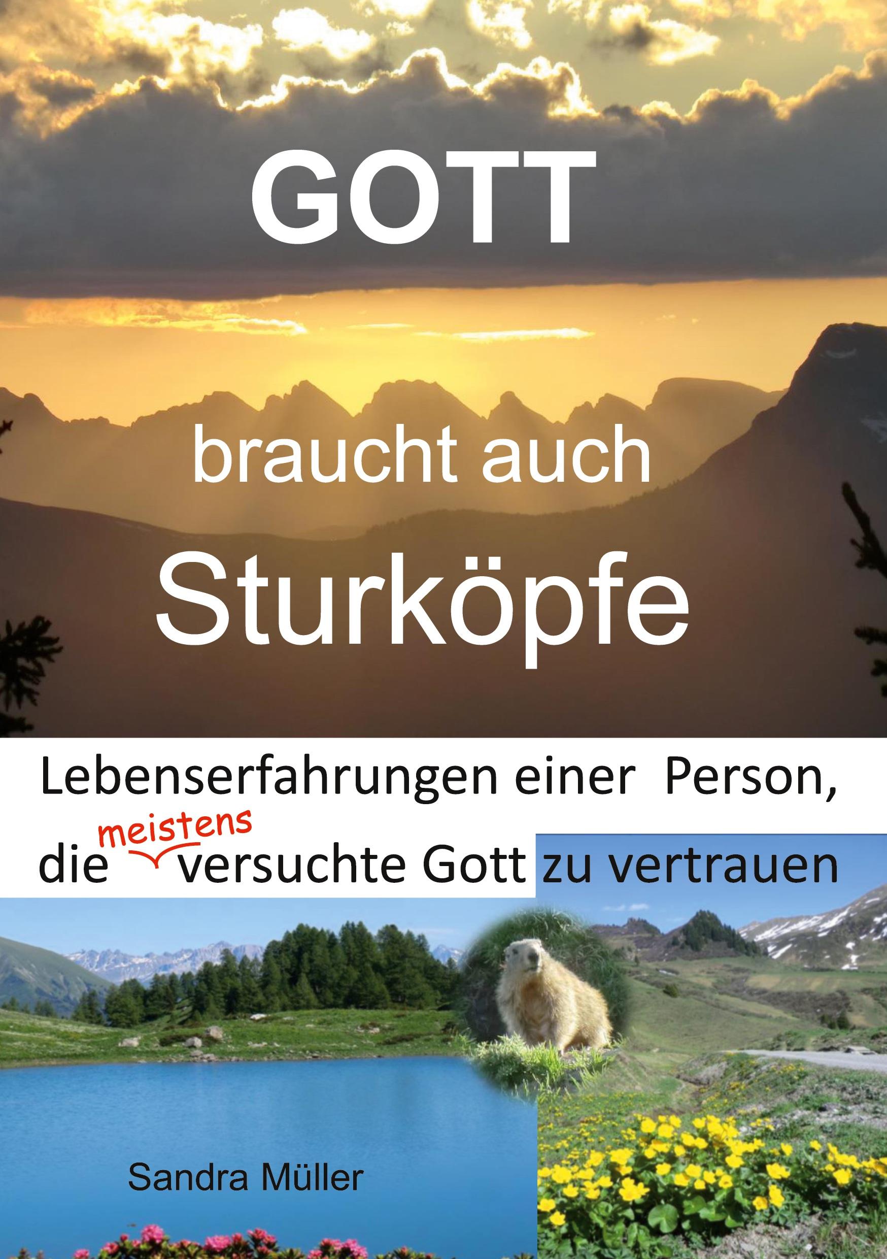 Vorderes Coverbild Gott braucht auch Sturköpfe