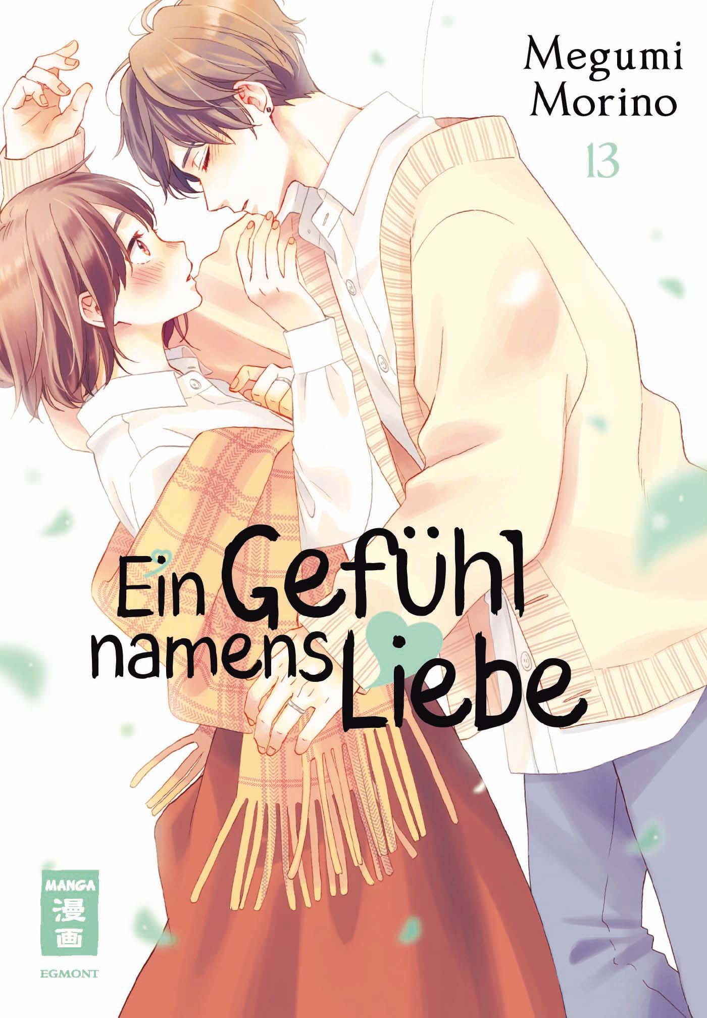 Vorderes Coverbild Ein Gefühl namens Liebe 13