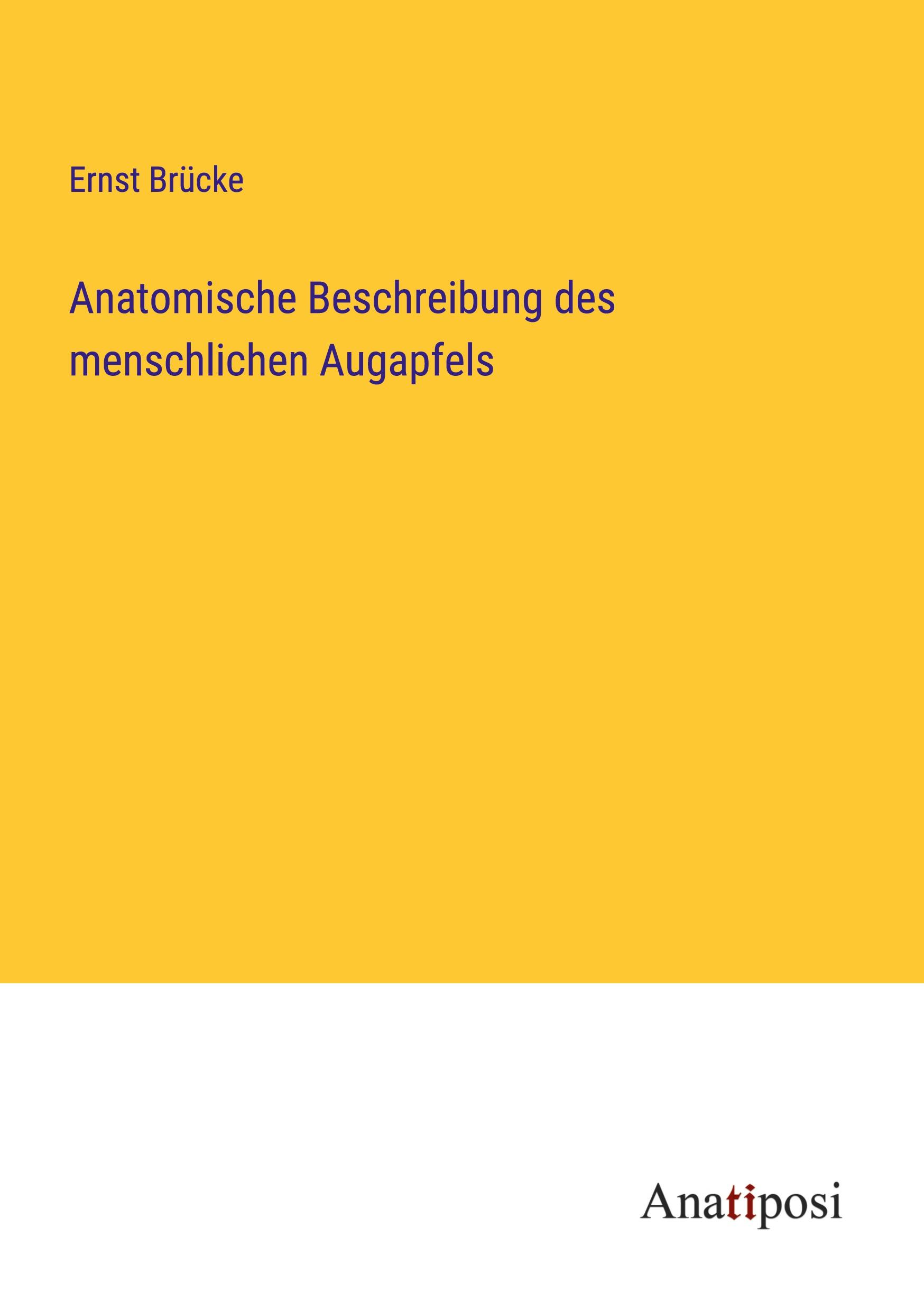 Vorderes Coverbild Anatomische Beschreibung des menschlichen Augapfels
