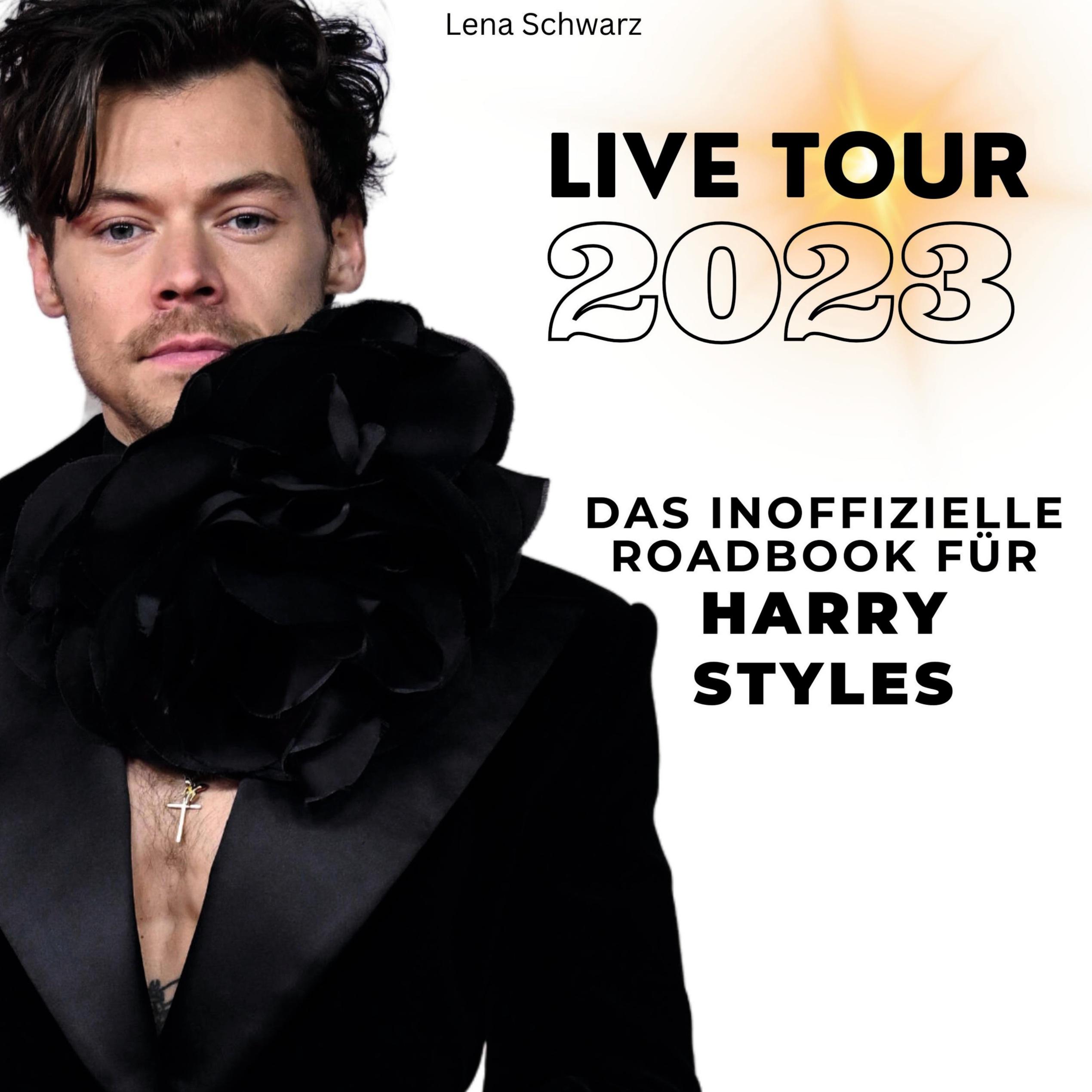 Vorderes Coverbild Das inoffizielle Roadbook <br> für Harry Styles