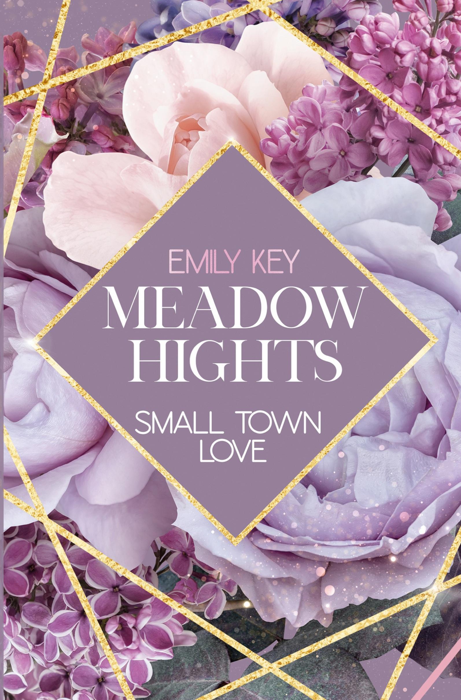 Vorderes Coverbild Meadow Hights: Small Town Love